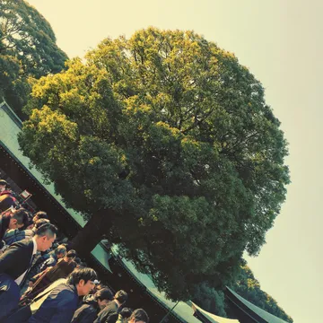 Meiji Shrine