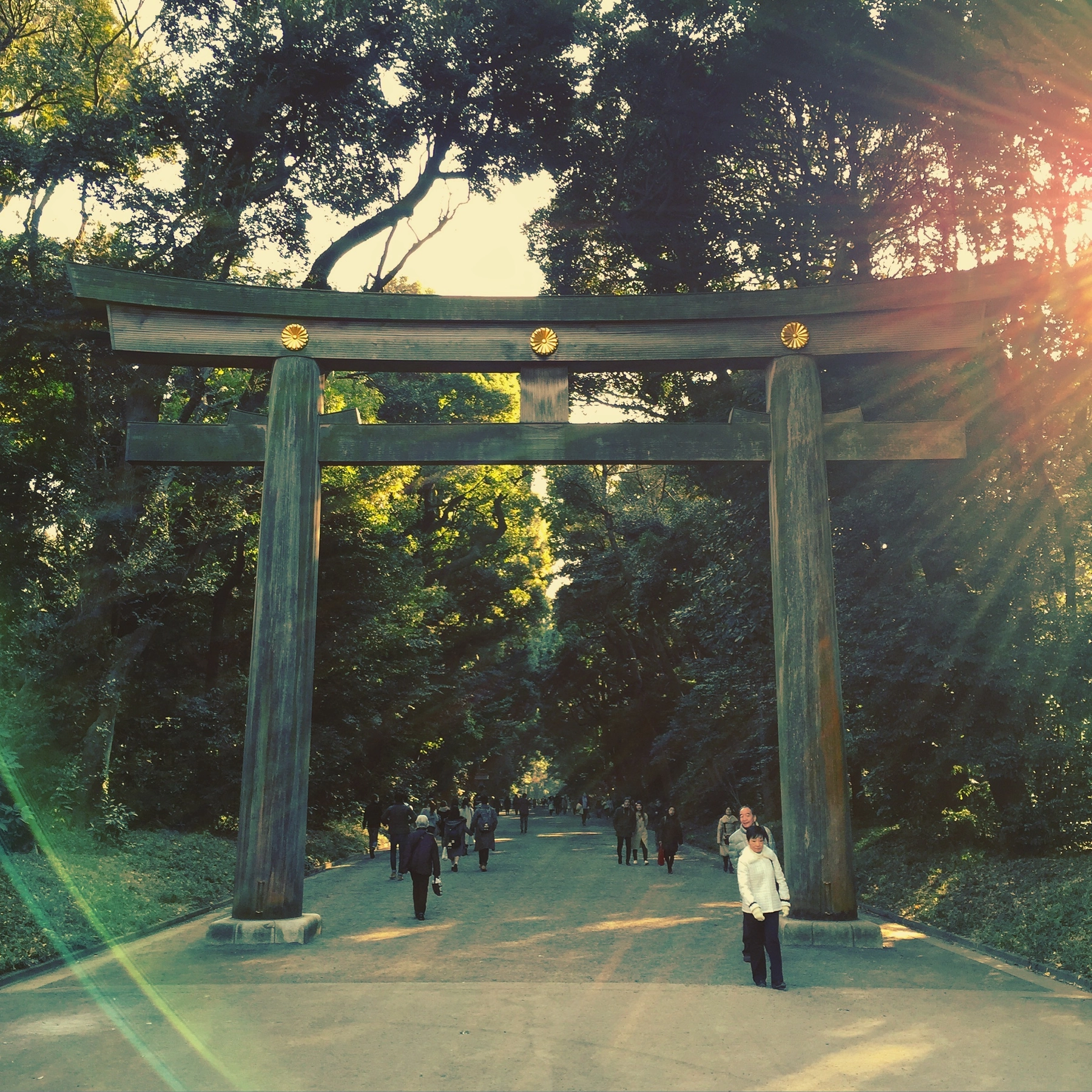 Yoyogi Park